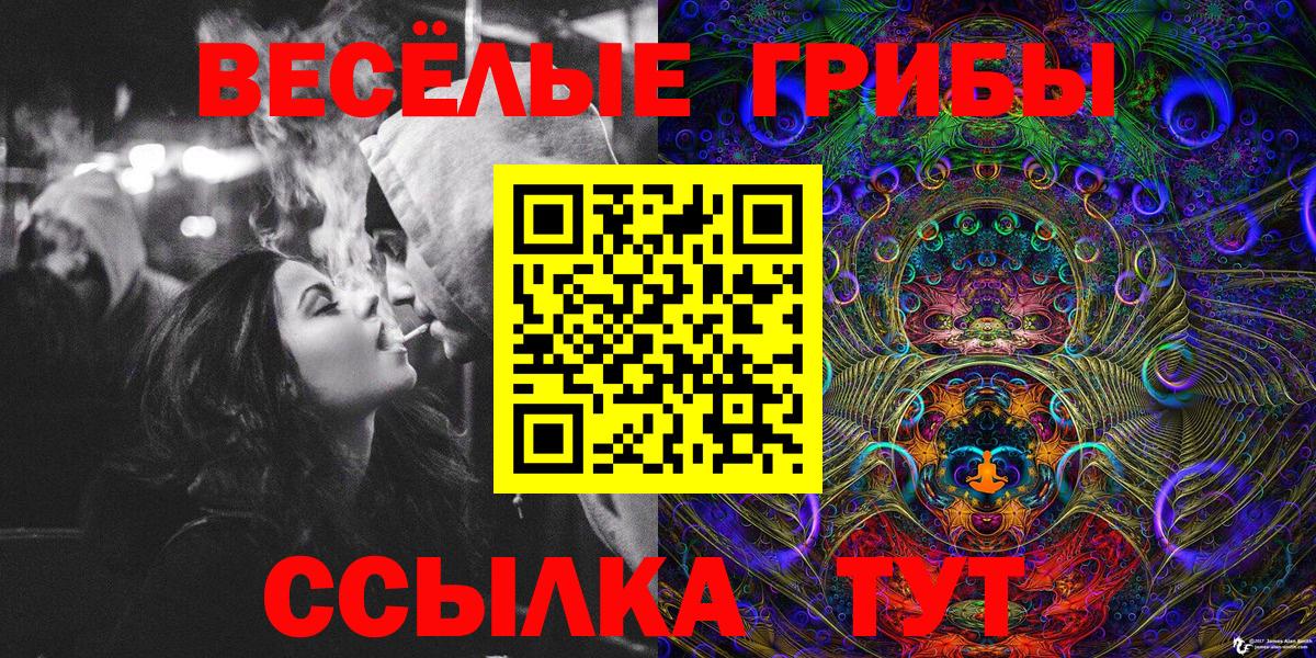 Галлюциногенные грибы MAGIC MUSHROOMS  где продают наркотики  Великий Устюг  Вход с VPN 