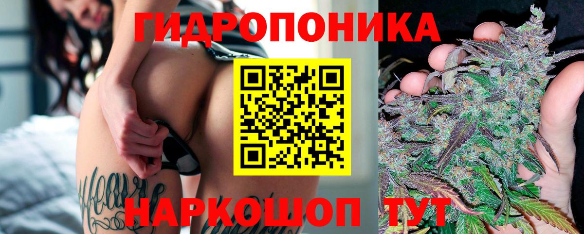 Каннабис SATIVA & INDICA Великий Устюг